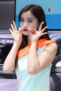 多平台支持展示